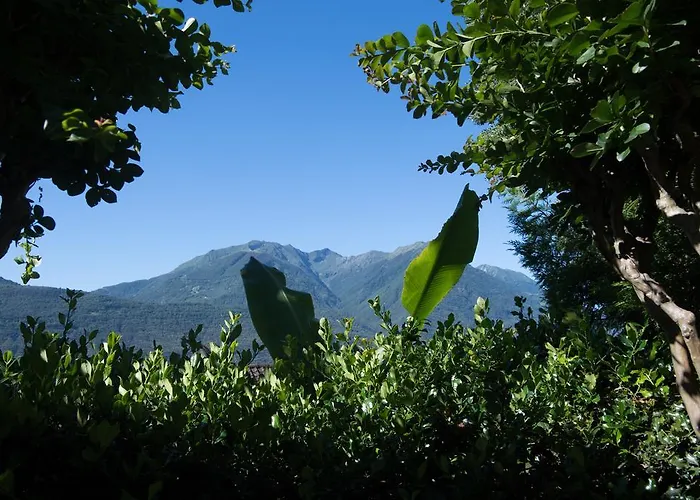 布拉克奥斯特里亚罗康德酒店 Gudo