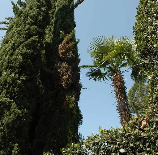 Osteria Brack 3* Gudo